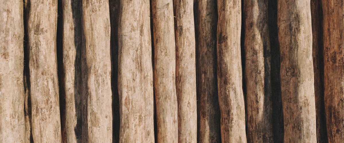 T Summers VP 📸 tweet media