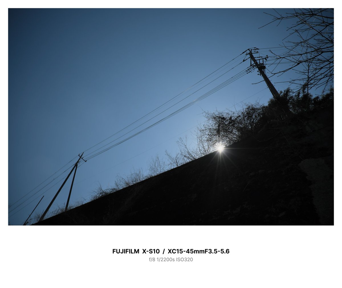6yZVjuxQn7n2tWL's tweet photo. たまには純正レンズで(^^)

#FUJI #XS10 #Xtrans #XC 
#SILKYPIX12 #Filmsimulation https://t.co/TEvhImn8FD