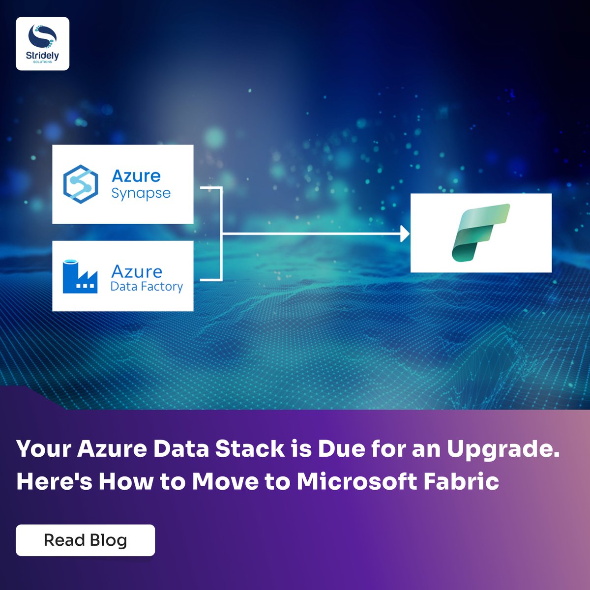 Stridely Solutions tweet media