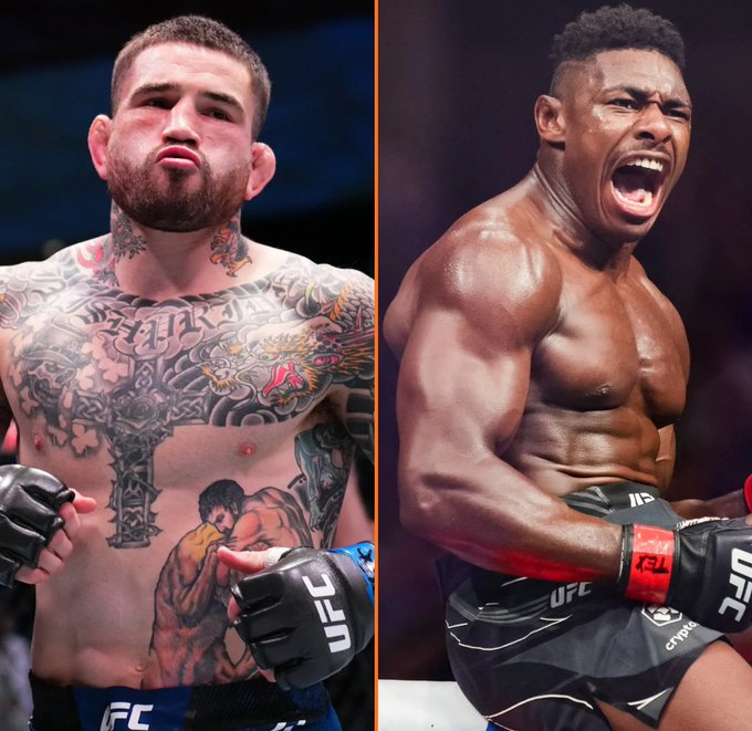 Clipped Fighting tweet media