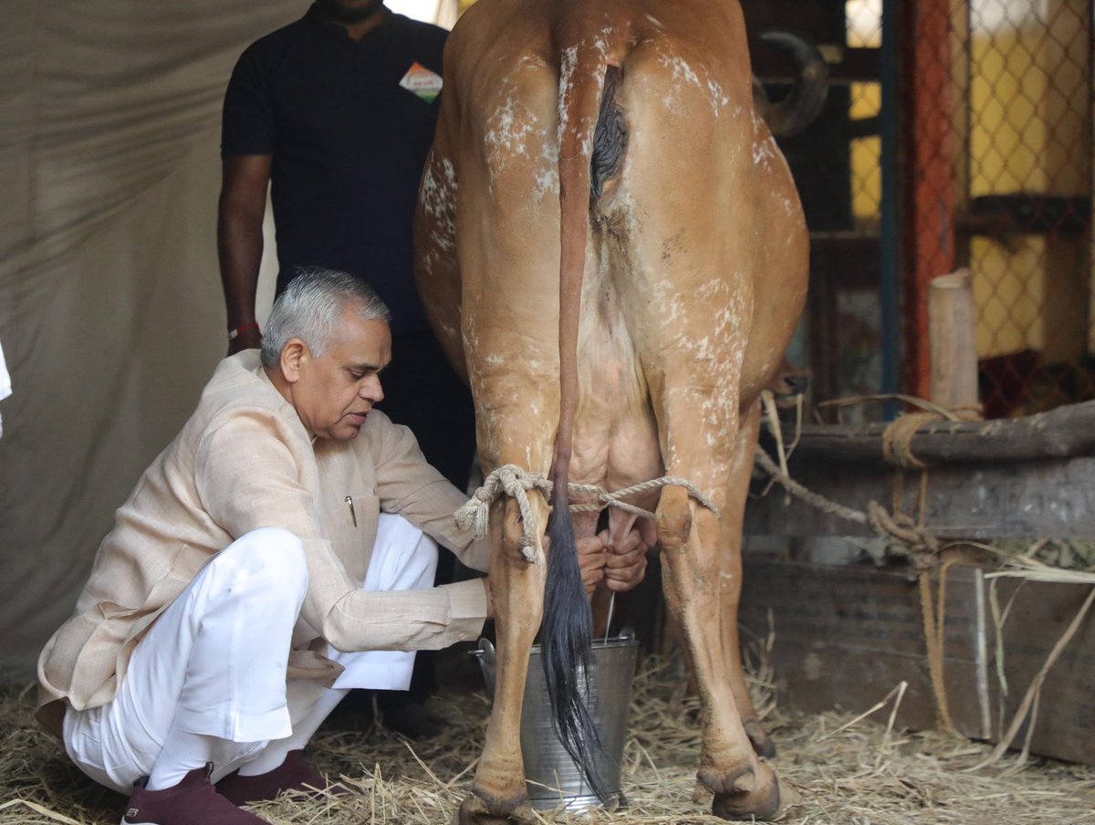 Collector & DM Navsari tweet media