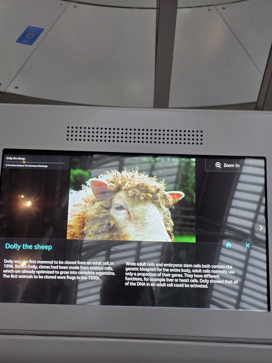 ใครมาเอดินเบอระ อย่าลืมแวะไปหา Dolly น้องแกะโคลนนิ่ง ที่ National museum of Scotland 
(น้องเกิดจากการโคลน มีชีวิตได้ 6.5 ปี / ช่วงหลังป่วยบ่อย ลักษณะดูแก่เกินวัย ) 
การโคลนนิ่งครั้งนี้ถือว่าประสบความสำเร็จที่สุดของสัตว์ลูกด้วยนม แต่ก็เกิดคำถามทางจริยธรรมเยอะมาก