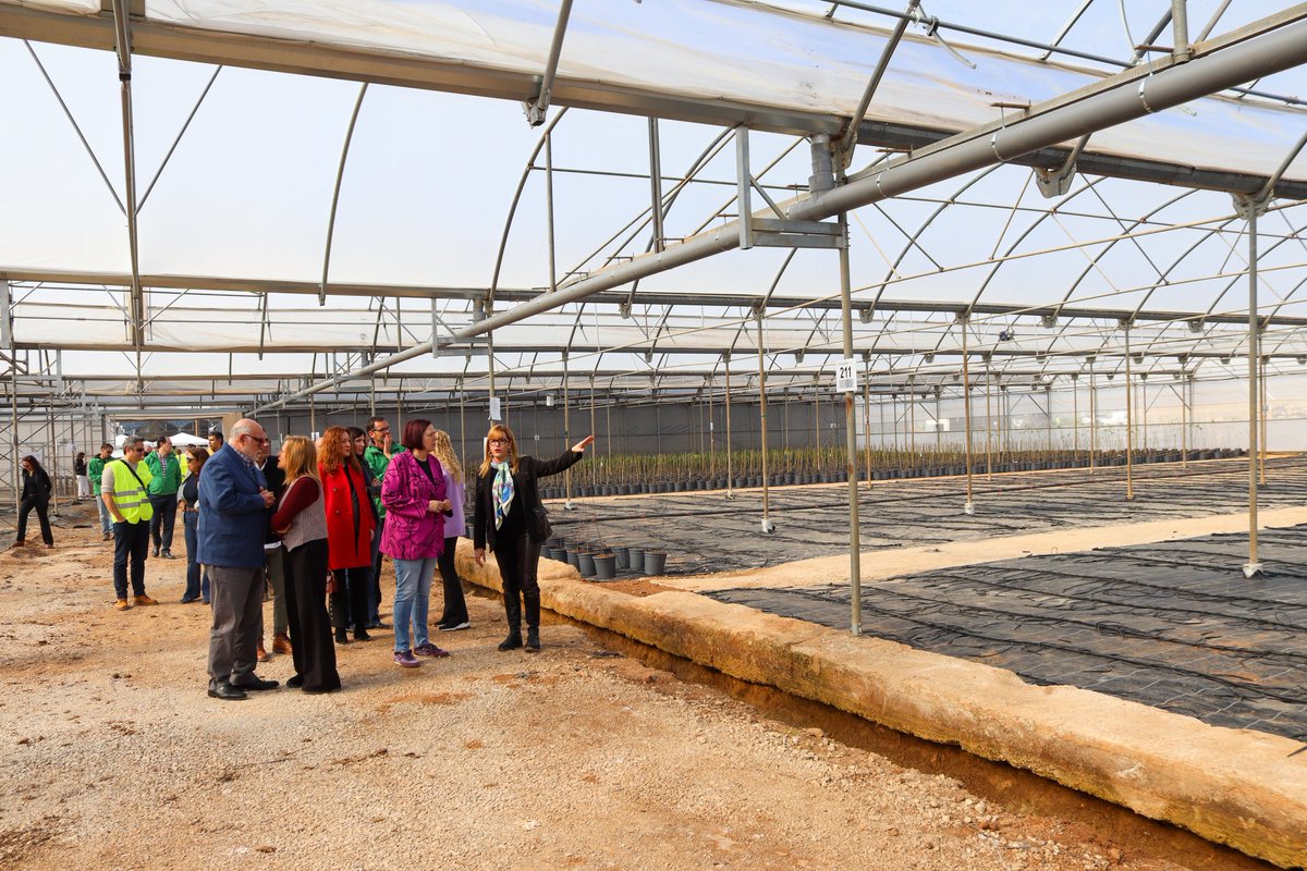 Hoy, en Chiva (Valencia), viendo la recuperación del sector agrario tras la #dana 📍

El @mapagob ya ha invertido más de 26,4 millones de euros en el municipio.

¿Cómo? Ayudas directas, y las obras de reconstrucción de parcelas, caminos rurales, viveros y comunidades de regantes.
