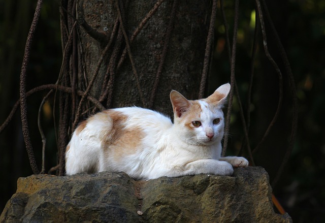 Maria Moore tweet media