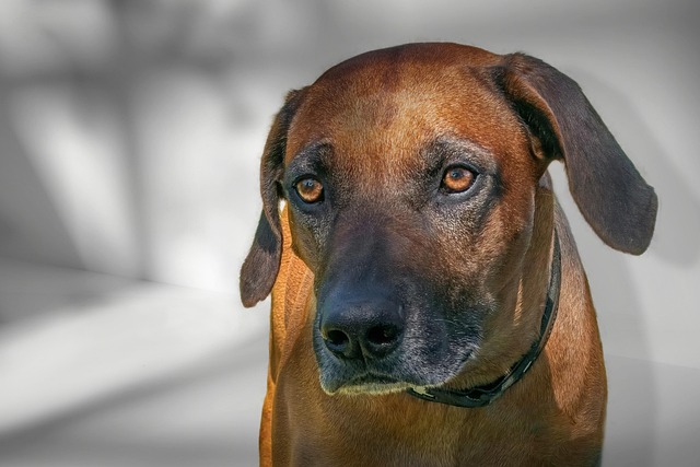 Marie Lee tweet media