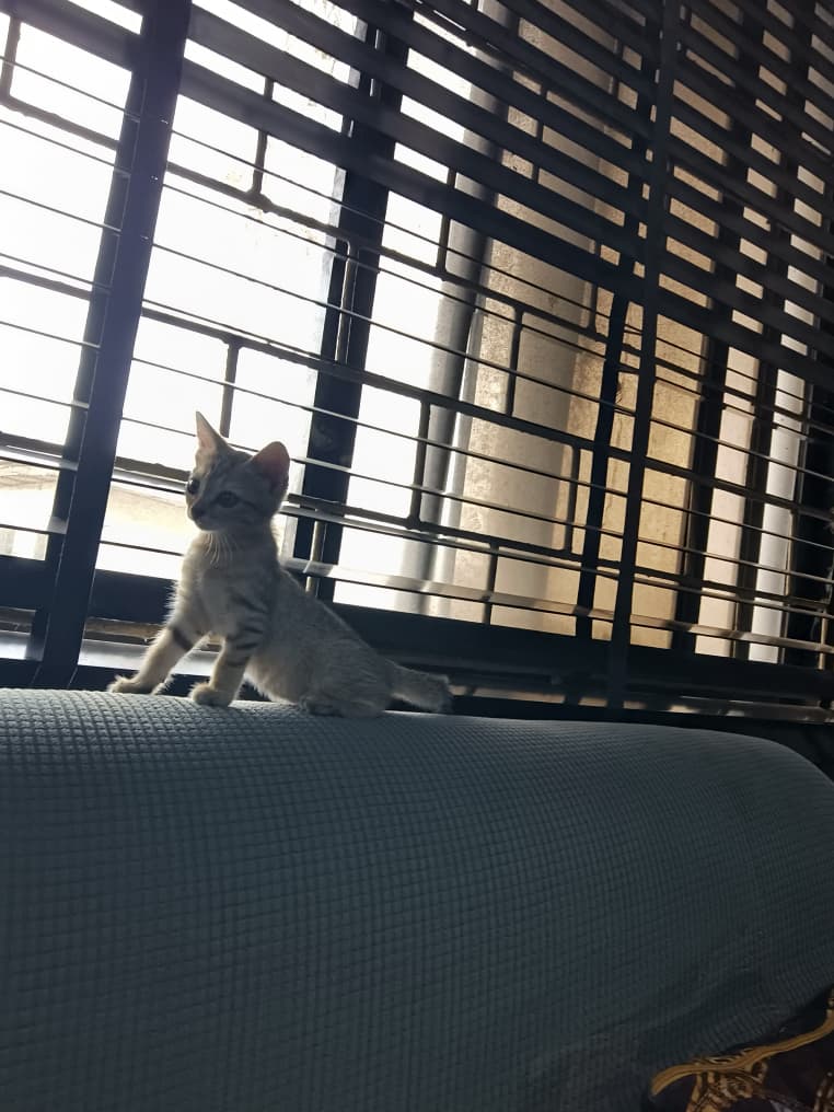 𝘾𝙀𝙉𝙏𝙍𝙄𝘾! tweet media