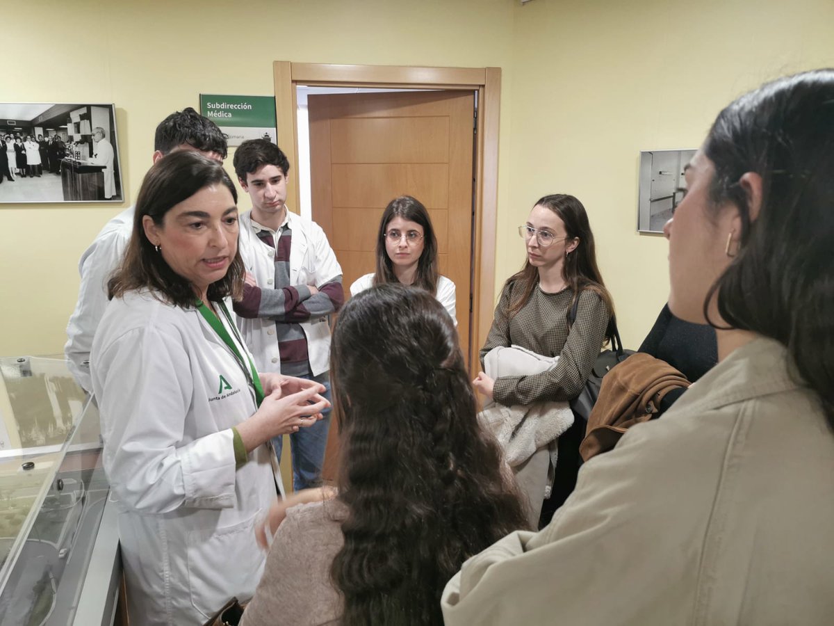 AGS Sur de Sevilla tweet media