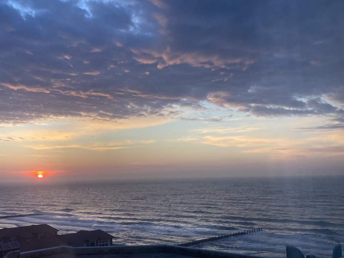 James Olivola tweet media