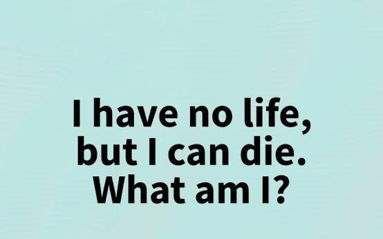 What am I ?