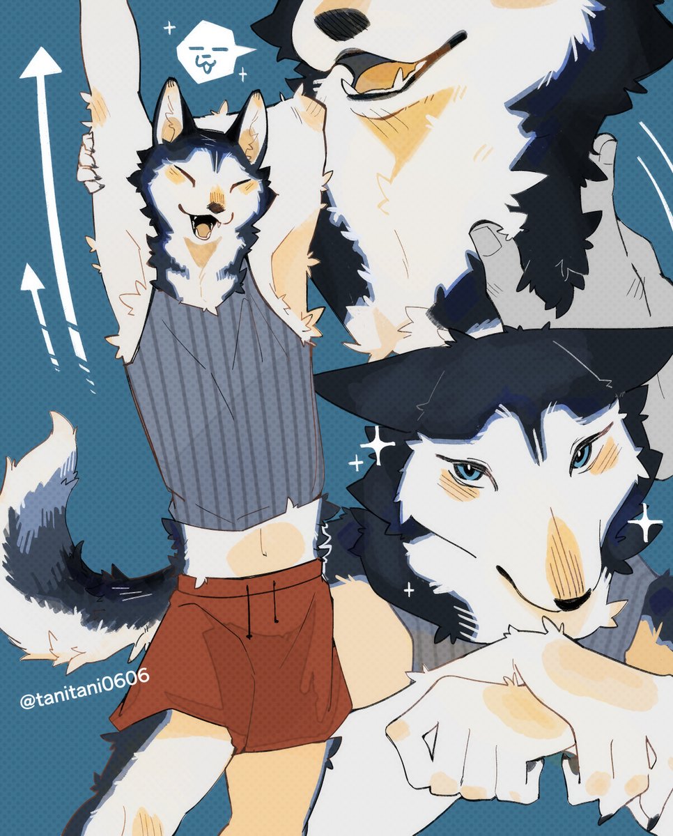 谷川めぐる tweet media