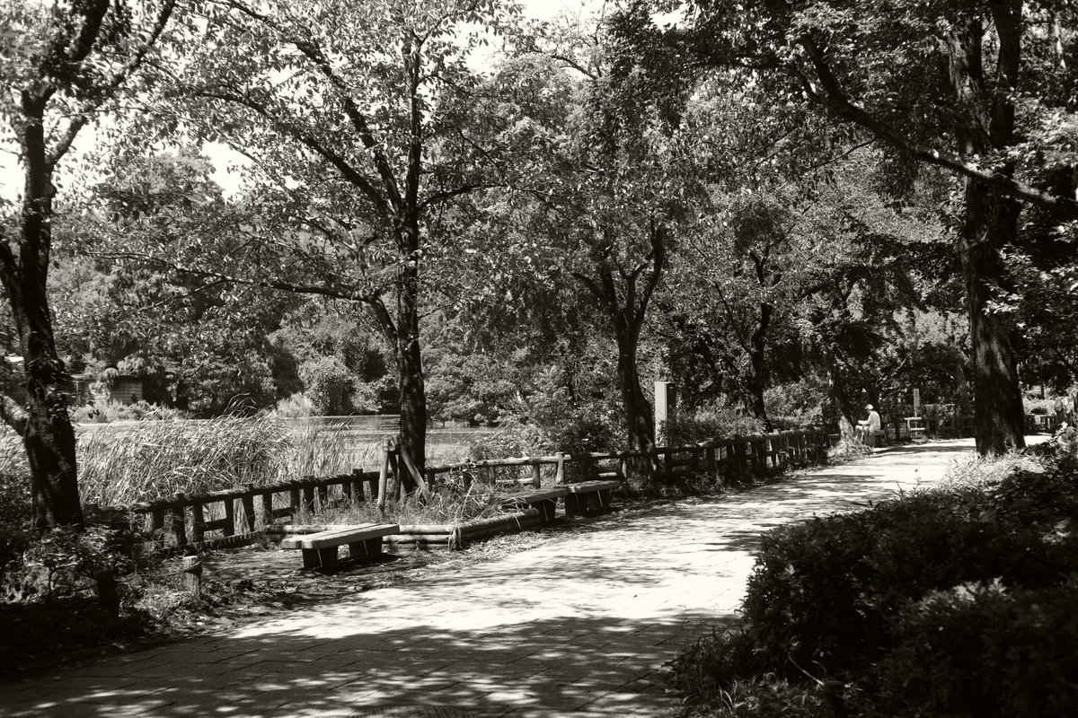 Kenshu Shintsubo 新津保建秀 tweet media