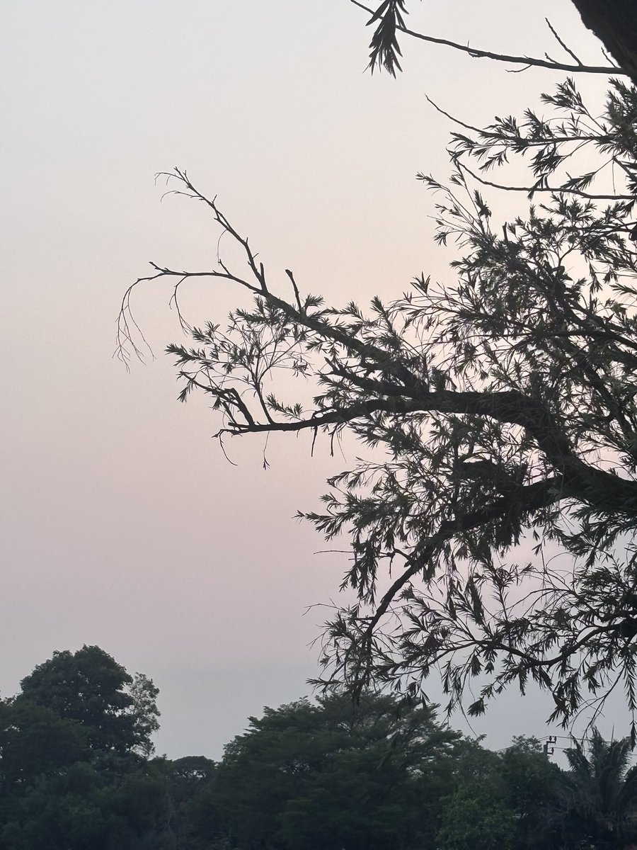 Memechkin.n• tweet media