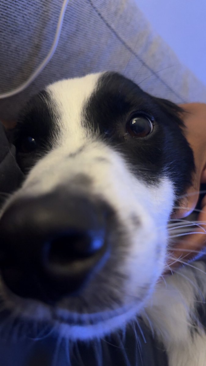 reality von sleaze tweet media