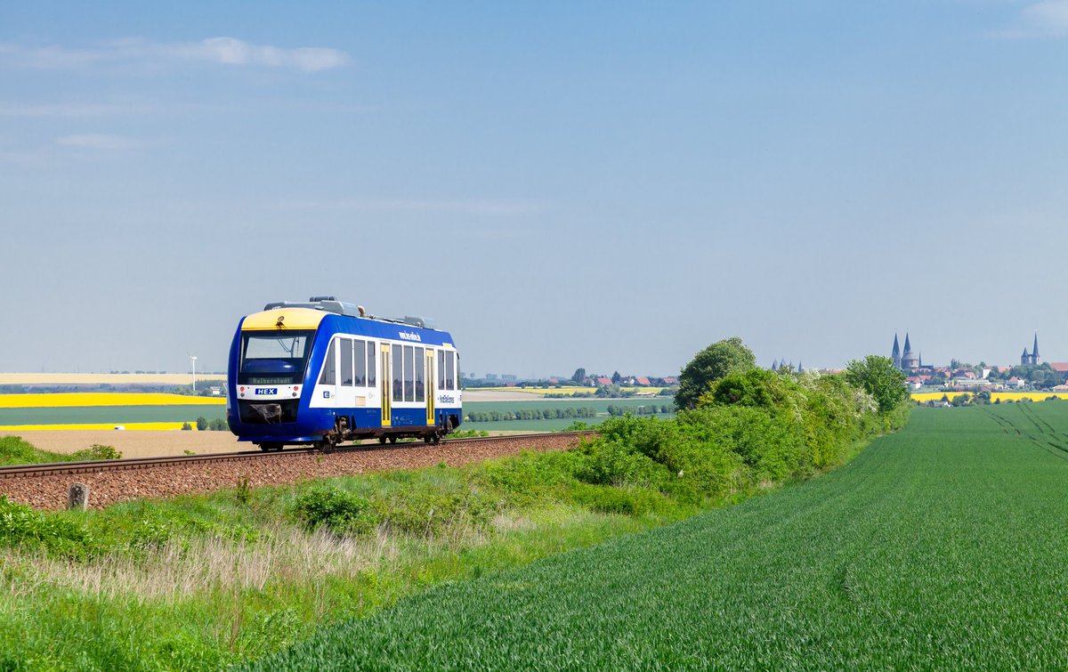 Chris 🦝 tweet media