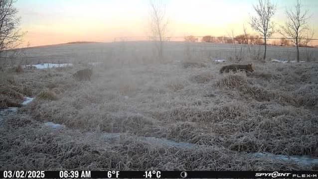 Hunter Nation tweet media