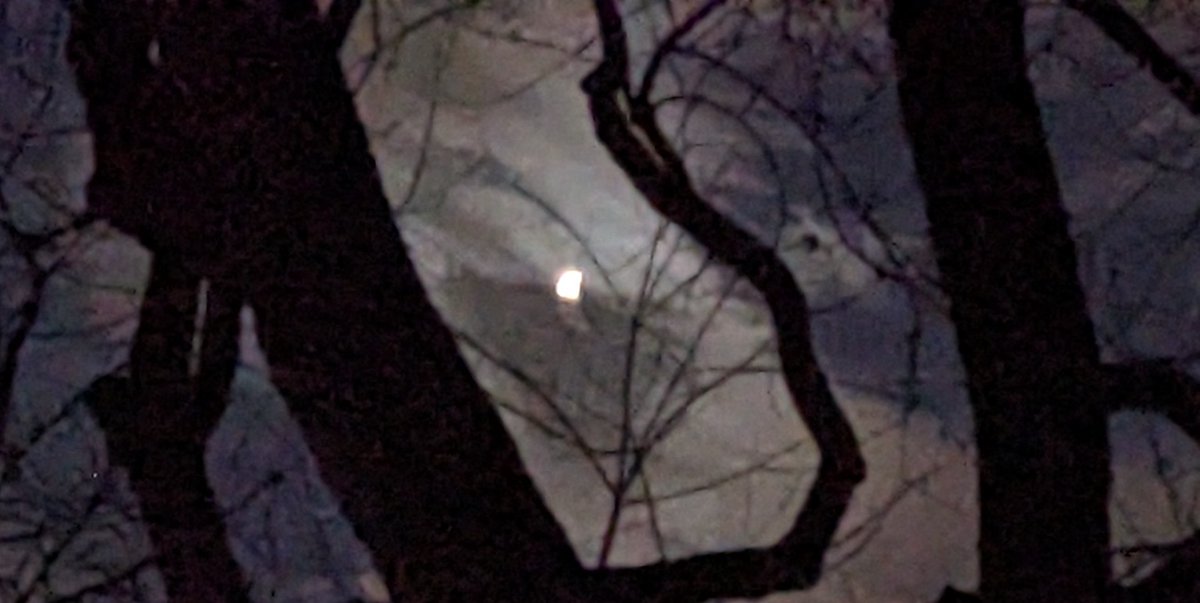 Dale Bowman tweet media