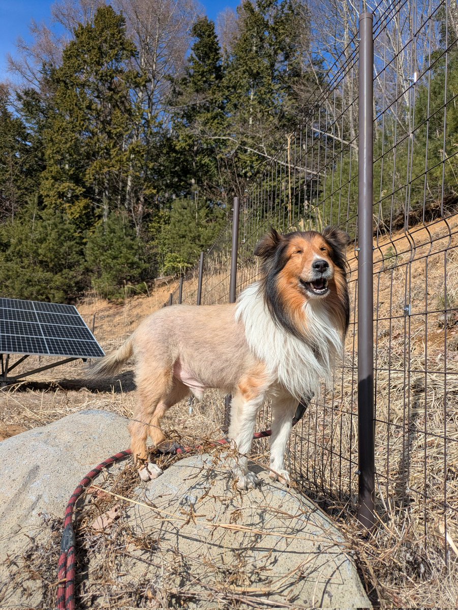 良い顔してるね🦁♥