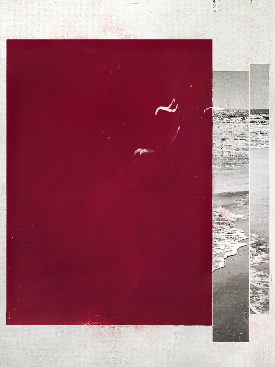 crowned dogs tweet media