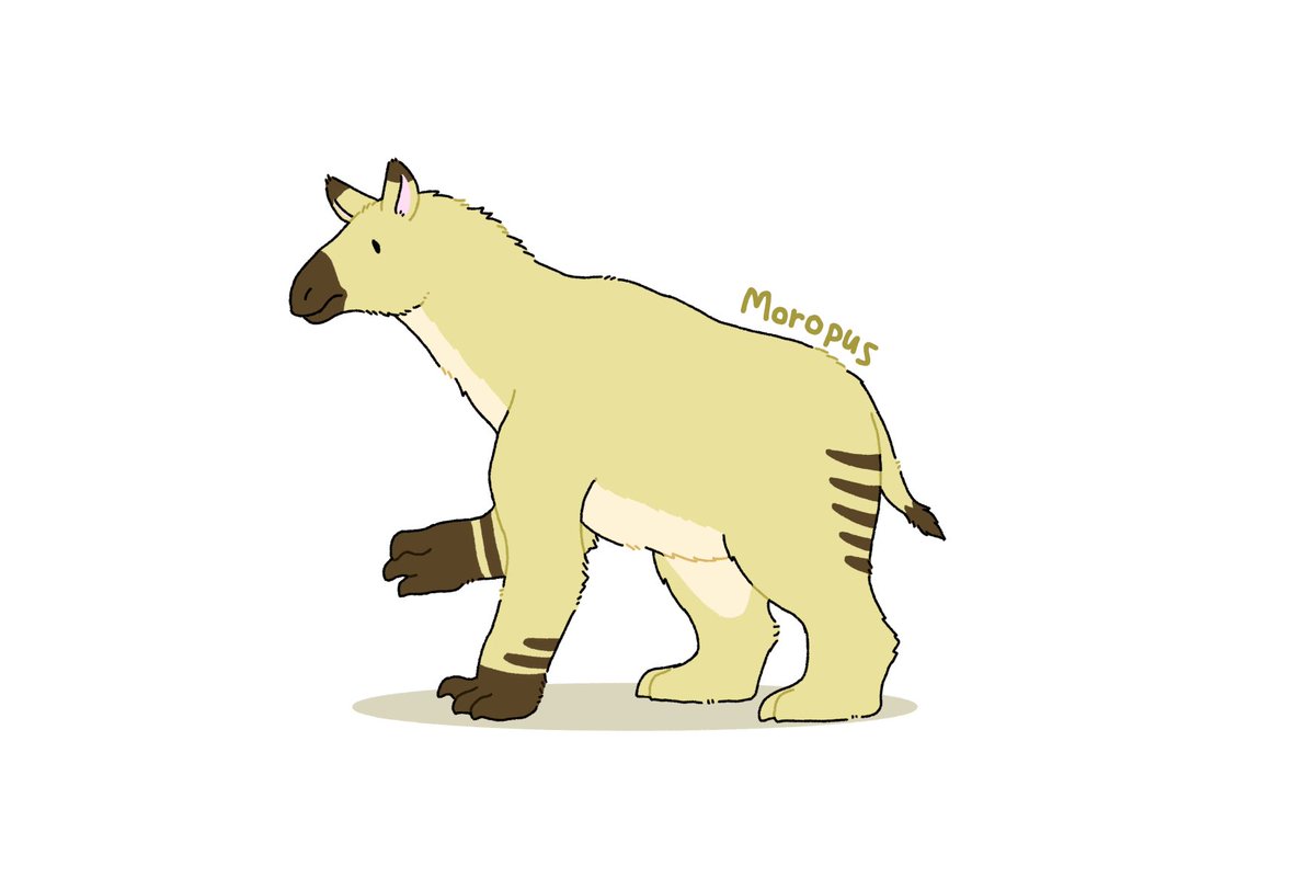 Dino55313051's tweet photo. モロプス
#Moropus #ゆるカワ古生物 https://t.co/a25ASVVST4