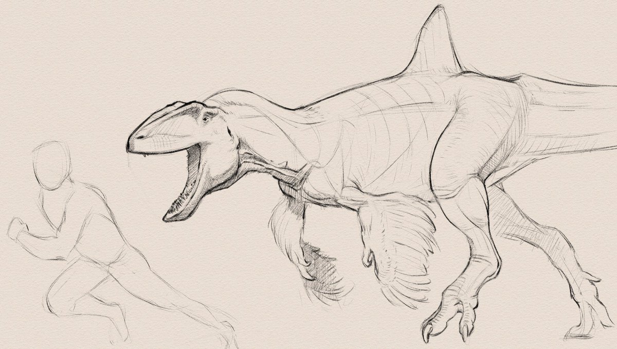 Concavenator warm up sketch. Reviving myself after feeling rusty for a bit