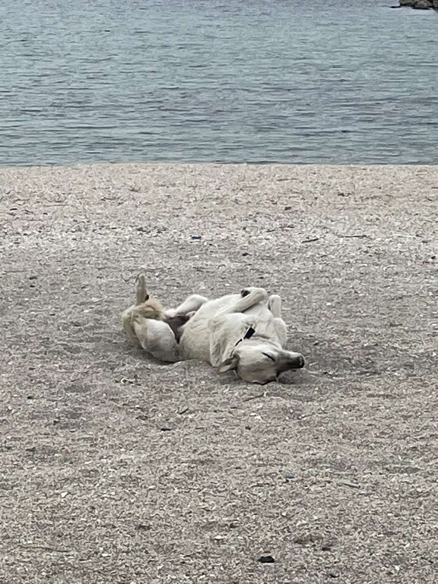 Yatışa gel 💤 🤭