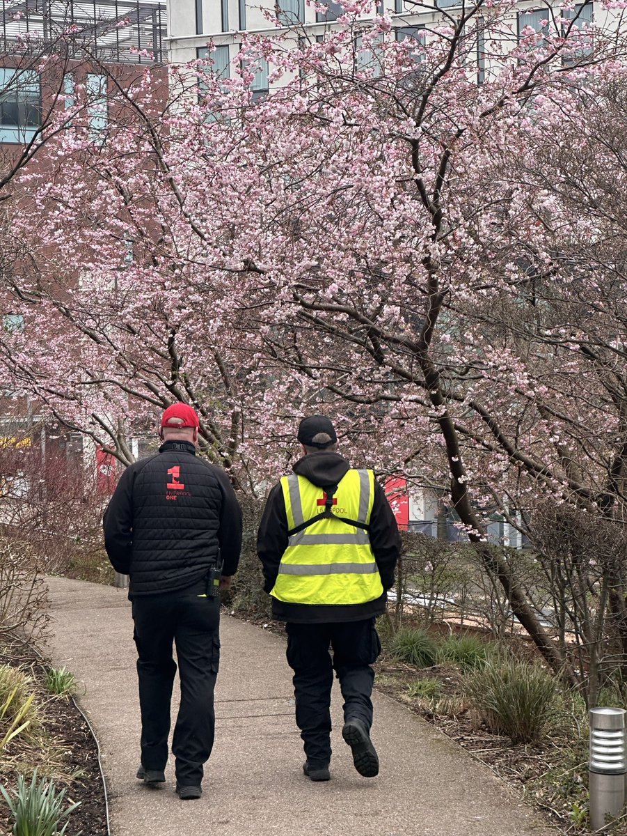 JuHac990dd03's tweet photo. @Ryohei_h11 ここ、3月になると桜が咲きますよね🌸
#liverpool #liverpoolone https://t.co/qCnft7dbP5