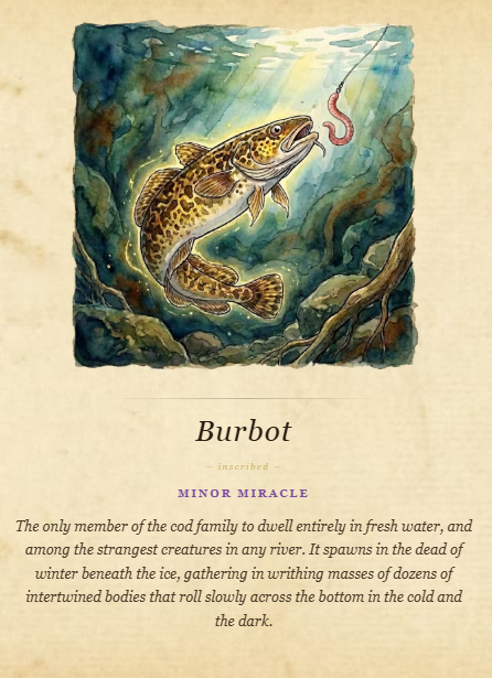 CoastRider tweet media