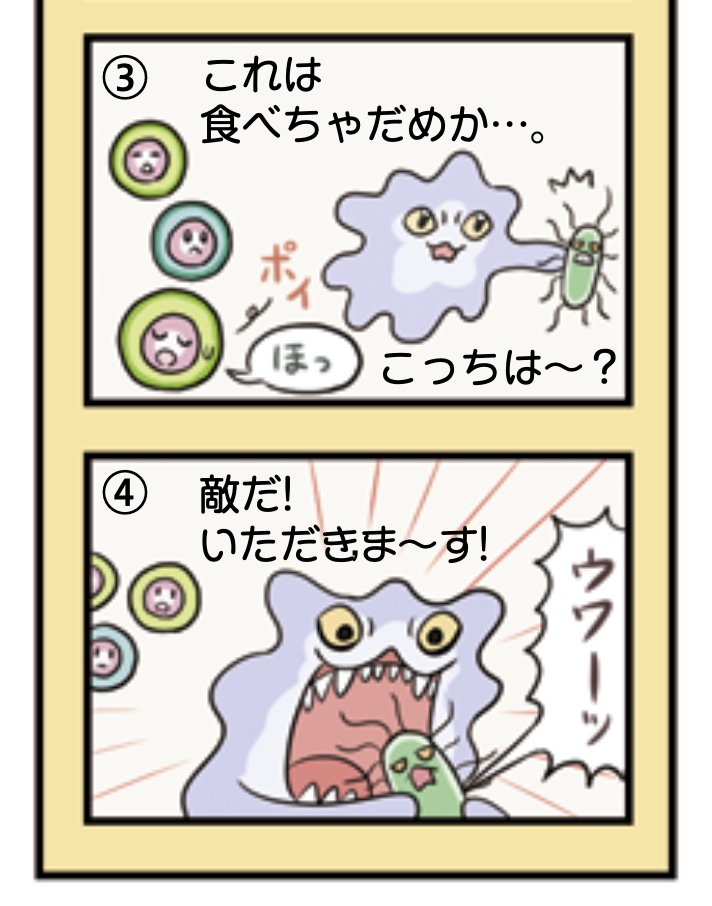 地味にお気に入りの漫画コーナー「免疫劇場」は今回もばっちりありますよ(追加もあるよ)
推し免疫、マクロファージ↓
獰猛さを表現しました