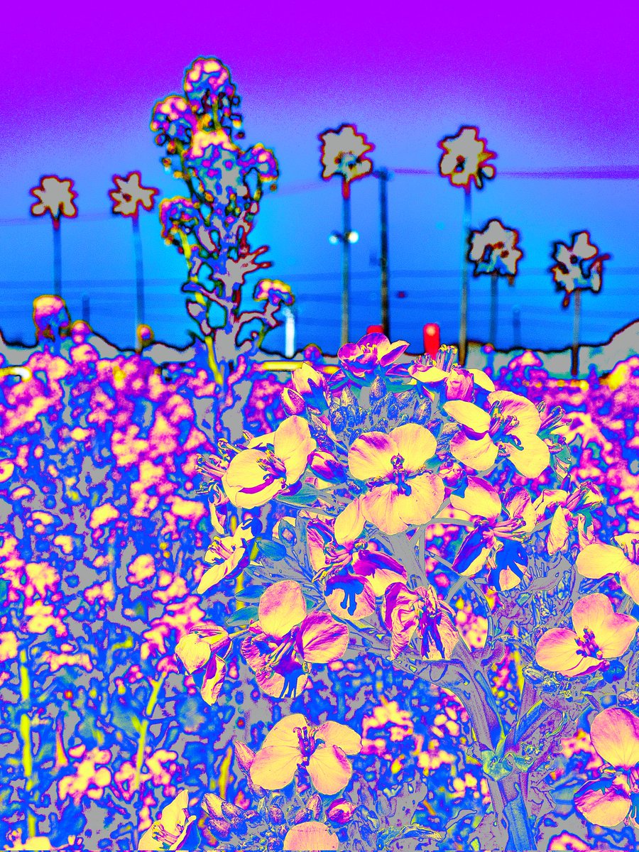 えふりぃね tweet media