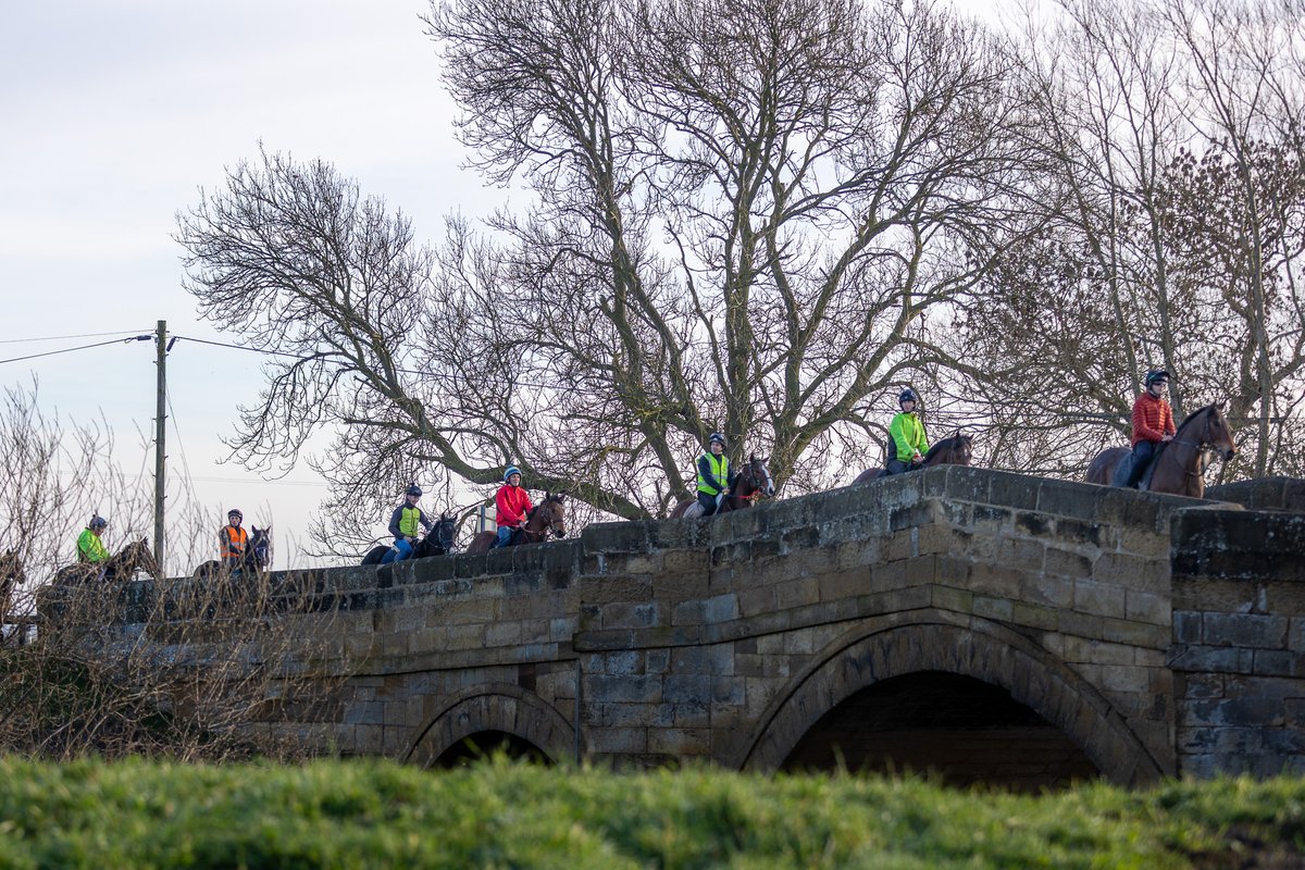 Tim Easterby Racing tweet media
