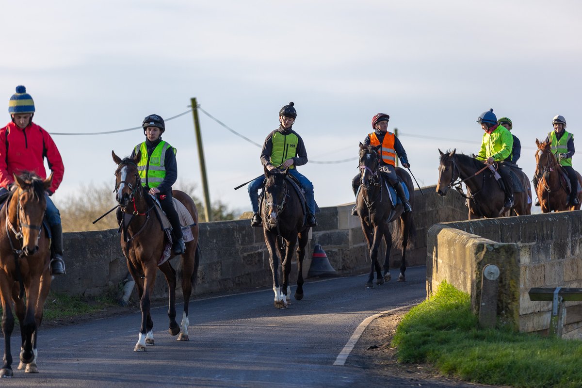 Tim Easterby Racing tweet media