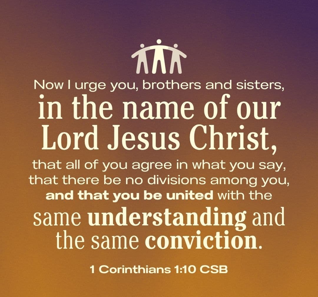 Susan Borg tweet media