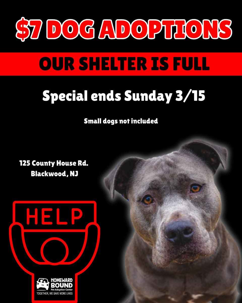 Homeward Bound Pet Adoption Center tweet media