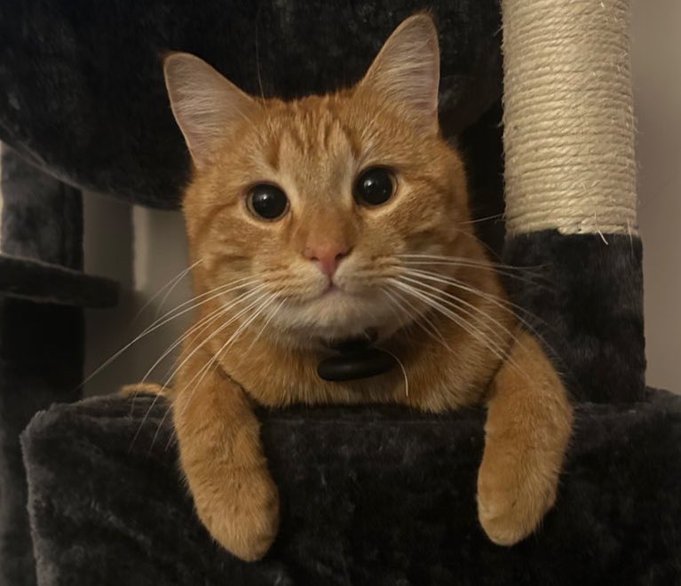 ewen 𝍎𝌆󠁦󠁲󠁢󠁲󠁥󠁿 tweet media