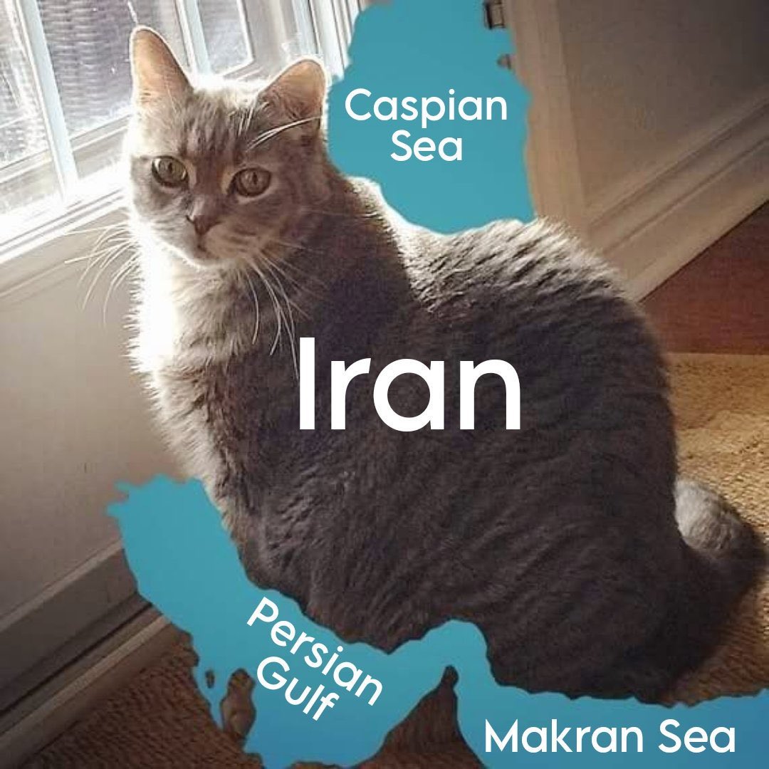 Olly Bosque tweet media