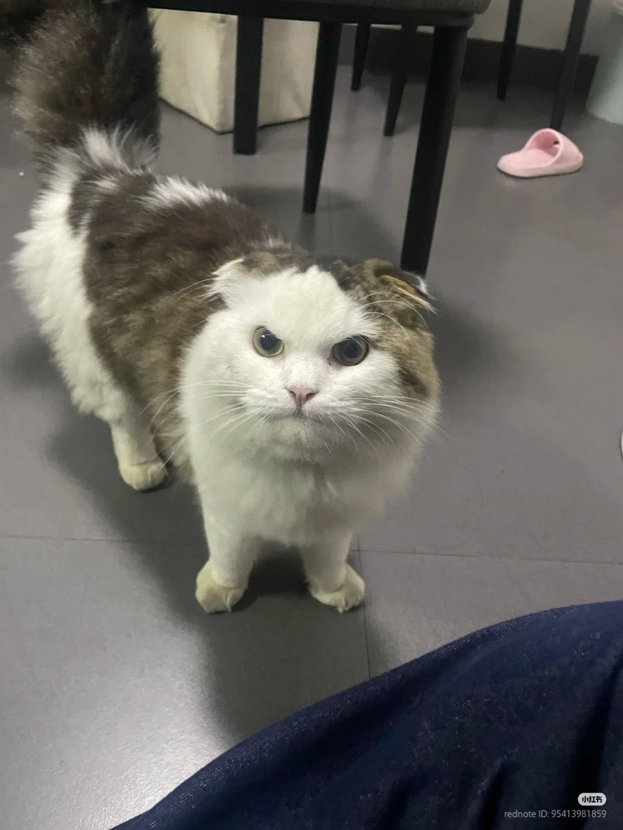 怒ってる　怒ってる

とっても怒ってる😾💢