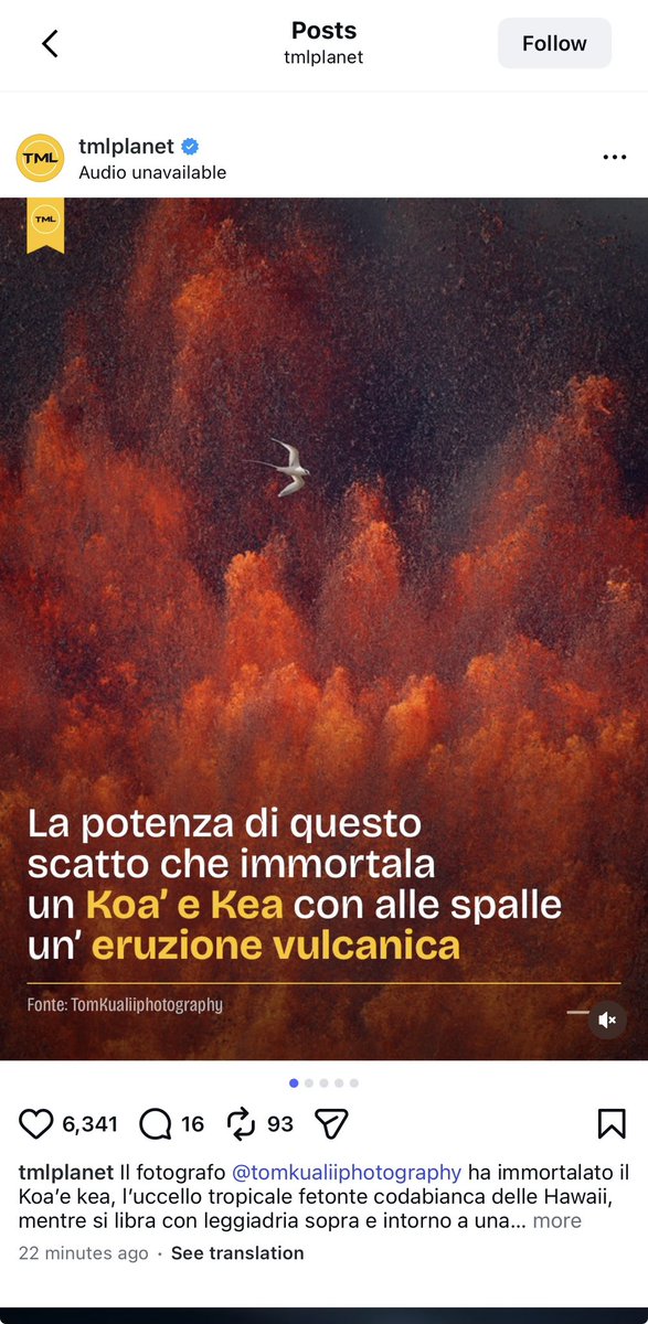 Tweet image