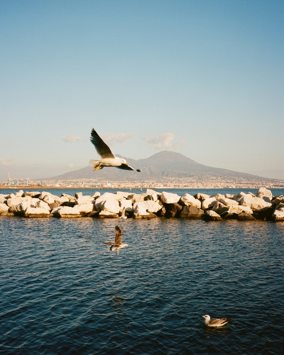 Stone Island tweet media