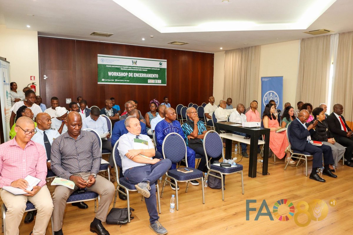 FAO Afrique centrale tweet media