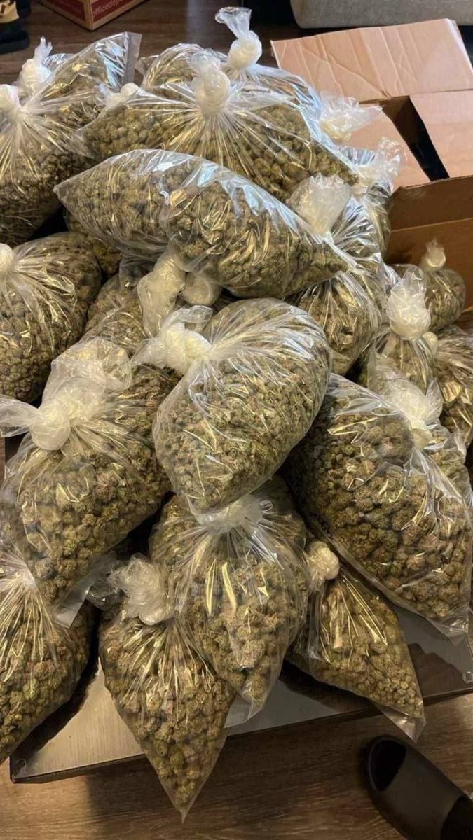 sincity seeds tweet media