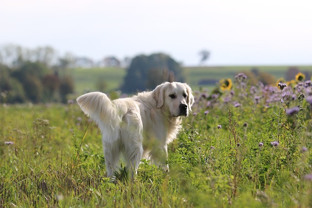 Jennifer Hamilton tweet media