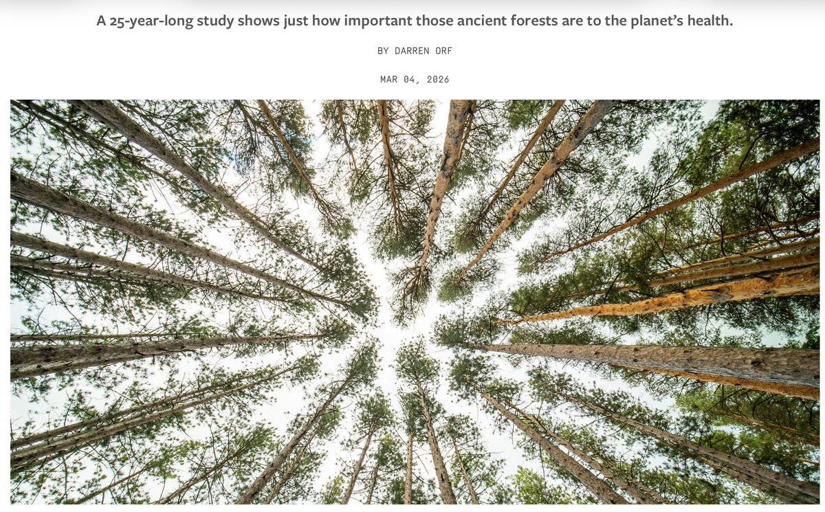 Lyle Lewis tweet media