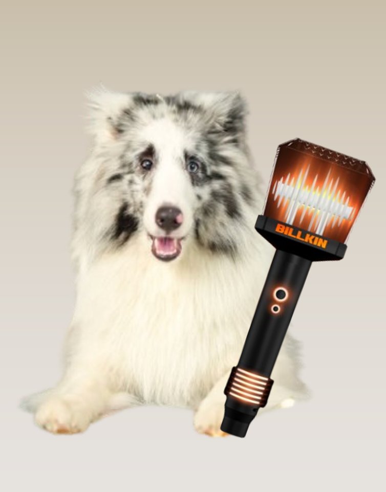 พี่ ๆ ที่มี #BILLKINLIGHTSTICKVER2 อยู่ในมือแล้ว อย่าลืมเชื่อมต่อและลงทะเบียนแท่งไฟในแอปพลิเคชัน ตามวิธีการด้านล่างก่อนนะ มาถึงหน้าคอนเสิร์ตแล้วจะได้พร้อมใช้เลย 🧡

#BILLKIN_FEELQUENCY
#BillkinEntertainment #Bbillkin