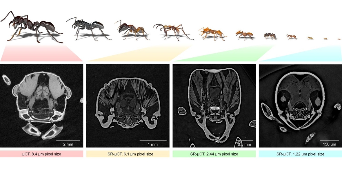 UmweltDialog tweet media