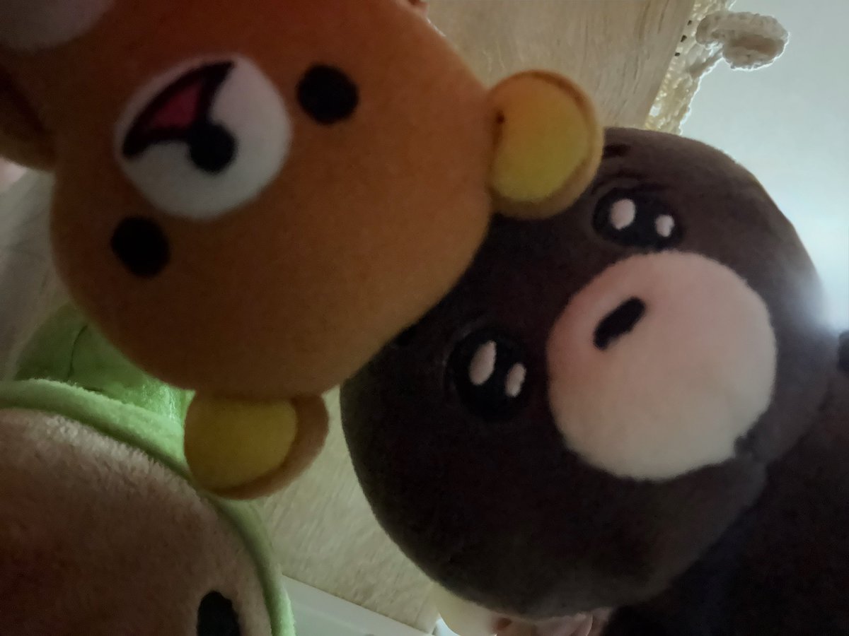 쭉이.. tweet media