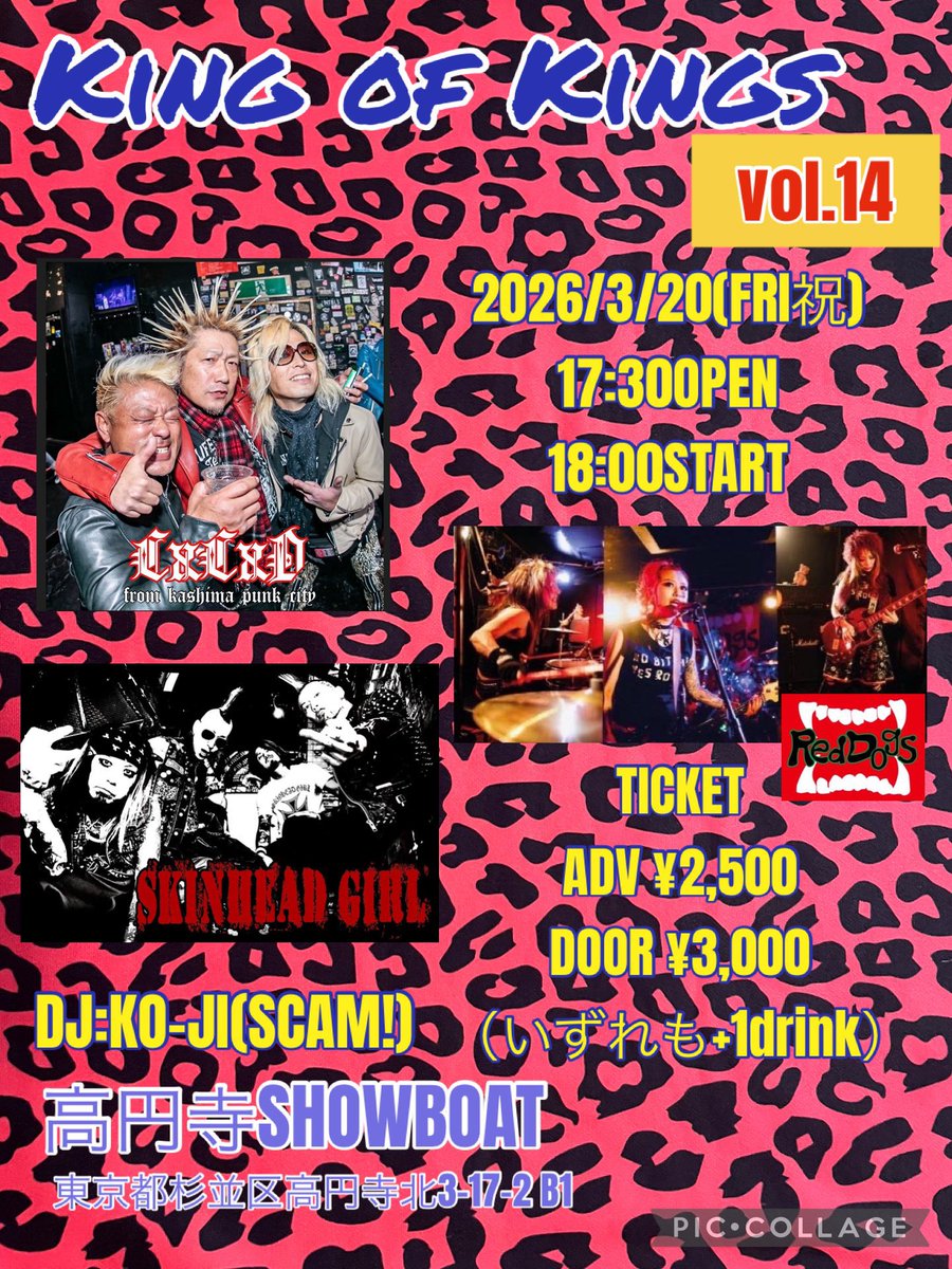 SKINHEAD GIRL tweet media