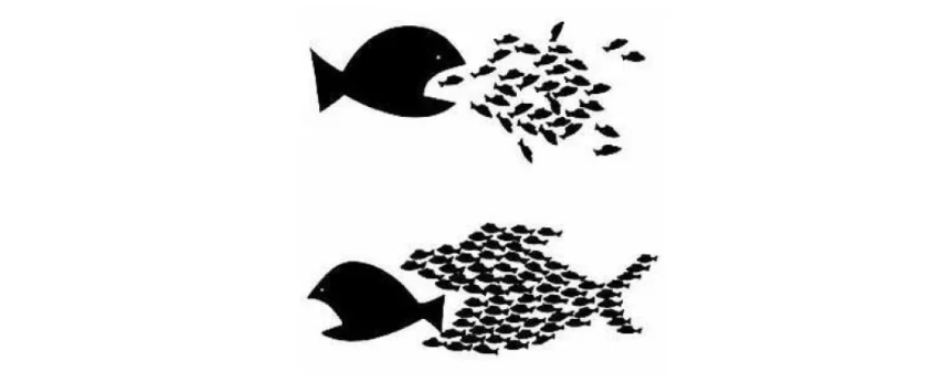 voluntaris.cat tweet media