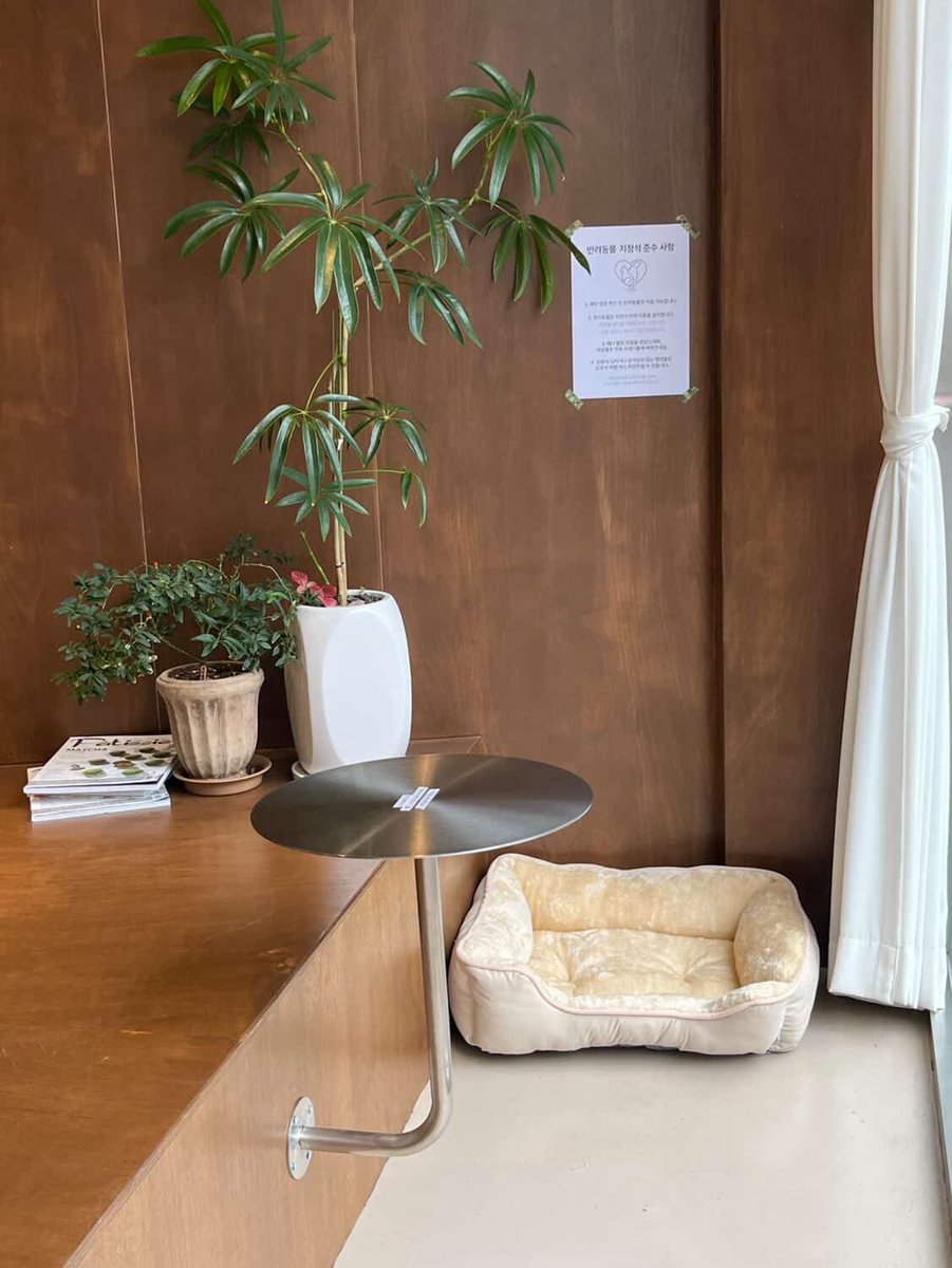 귤엔터 황구윤 반려견 데뷔 준비 중 tweet media