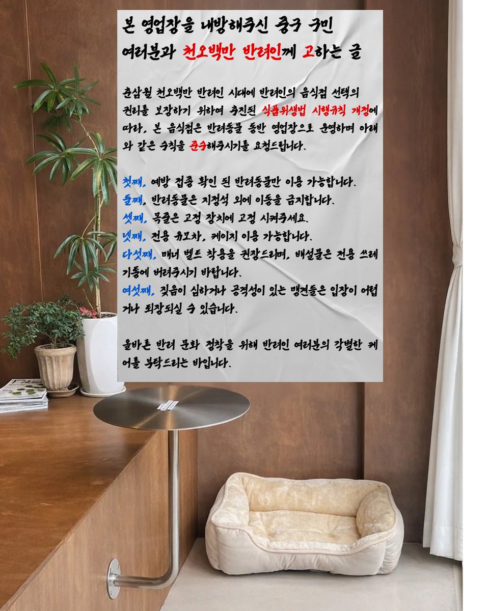 귤엔터 황구윤 반려견 데뷔 준비 중 tweet media