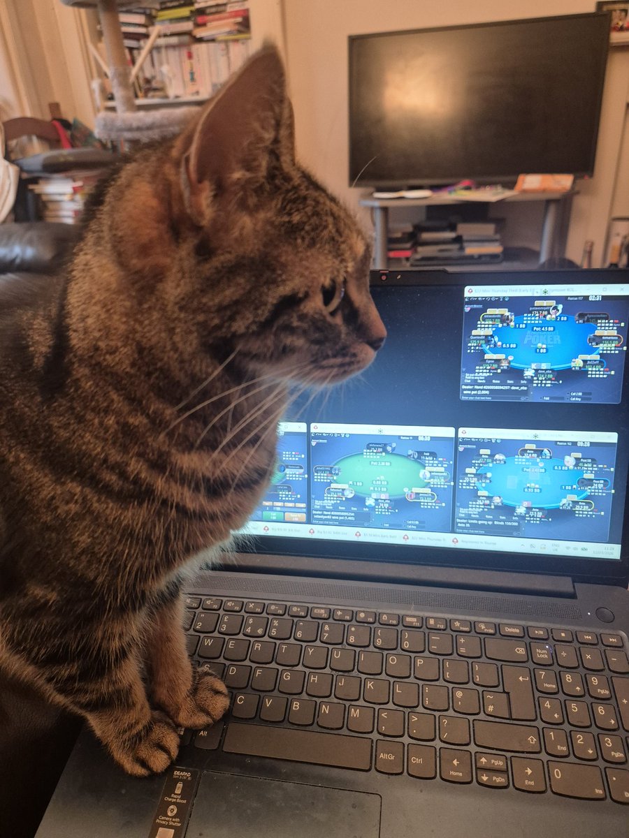 BND For All 🌞 tweet media